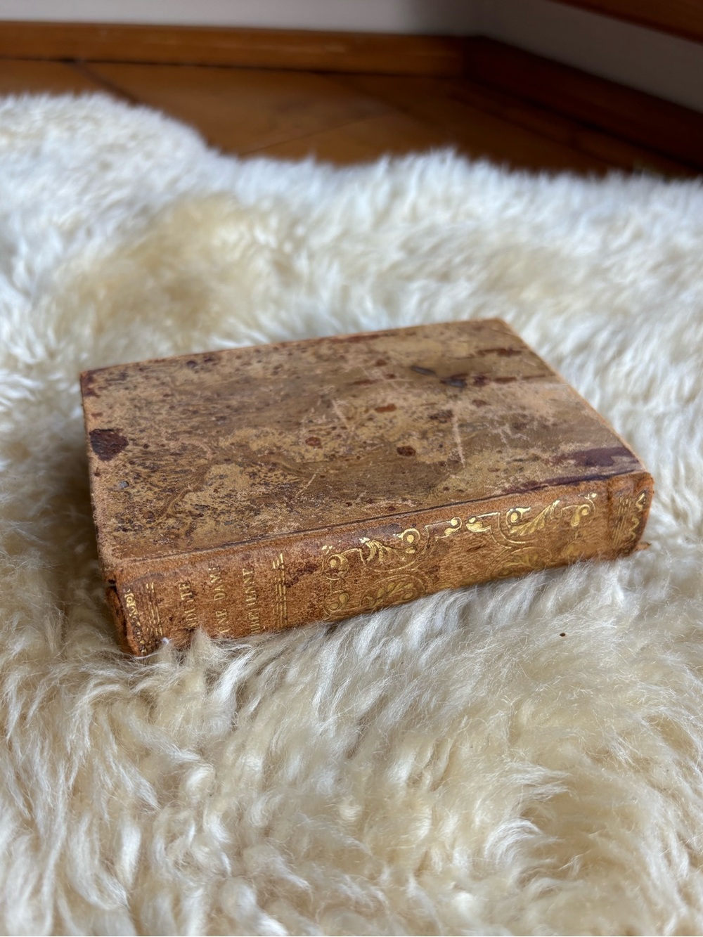 Antique French Book